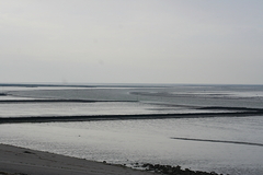 Wattenmeer Sandwatt Schlickwatt Nordsee